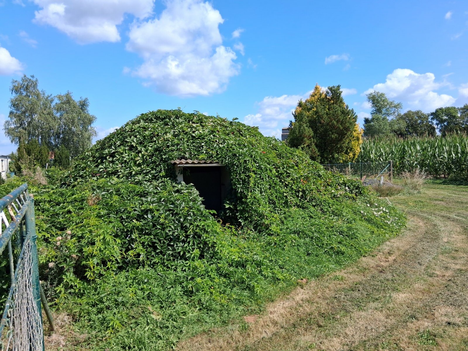 Werben an der Elbe, Sportbootanleger vorhanden, Einfamilienhaus mit Bauland - Landkreis Stendal