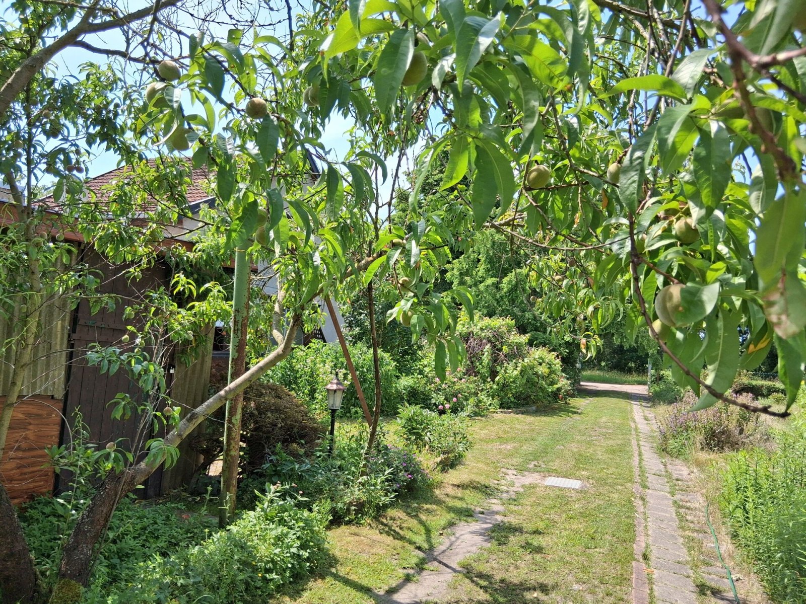 Klein, aber fein - Doppelhaushälfte auf attraktivem Grundstück im Osten von Stendal