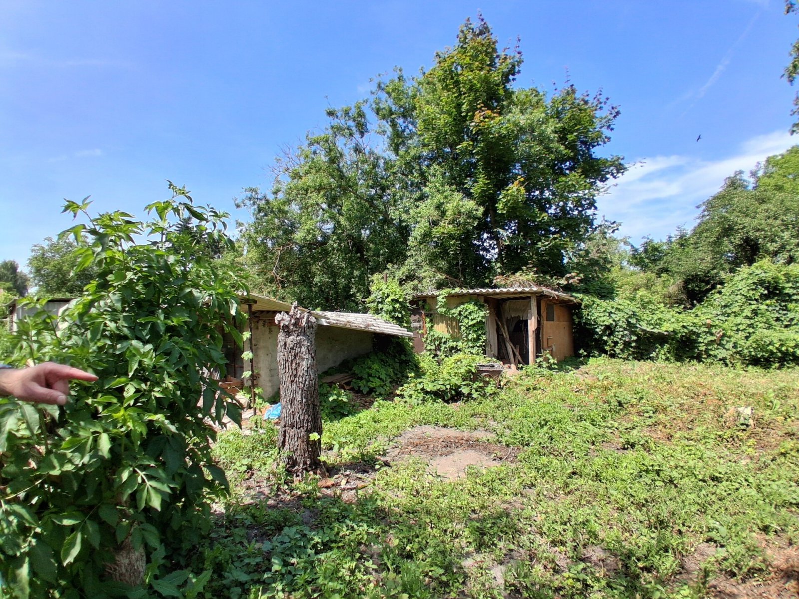 Klein, aber fein - Doppelhaushälfte auf attraktivem Grundstück im Osten von Stendal