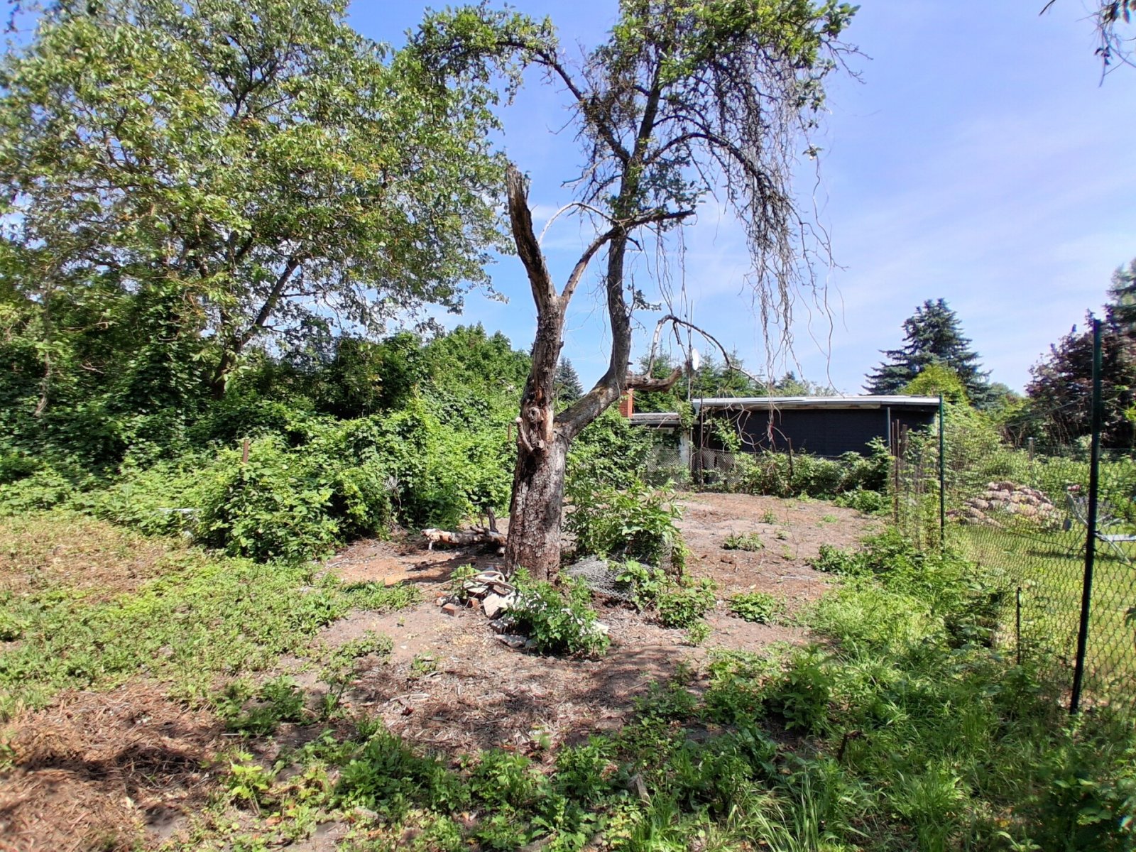 Klein, aber fein - Doppelhaushälfte auf attraktivem Grundstück im Osten von Stendal