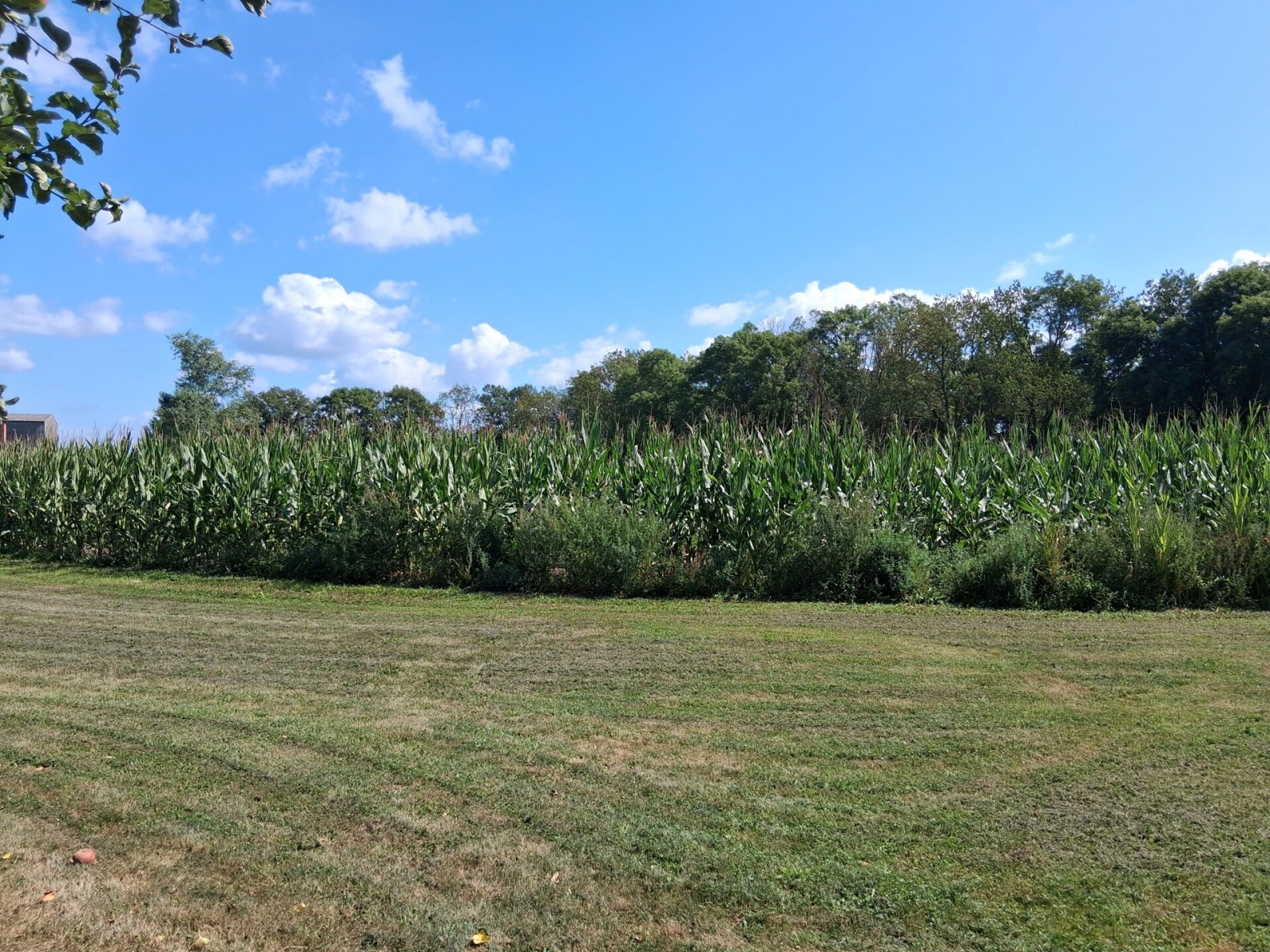 Wohnen am A... der Welt - Werben an der Elbe - Leben in der altmärkischen Landschaft - 0173-6006146