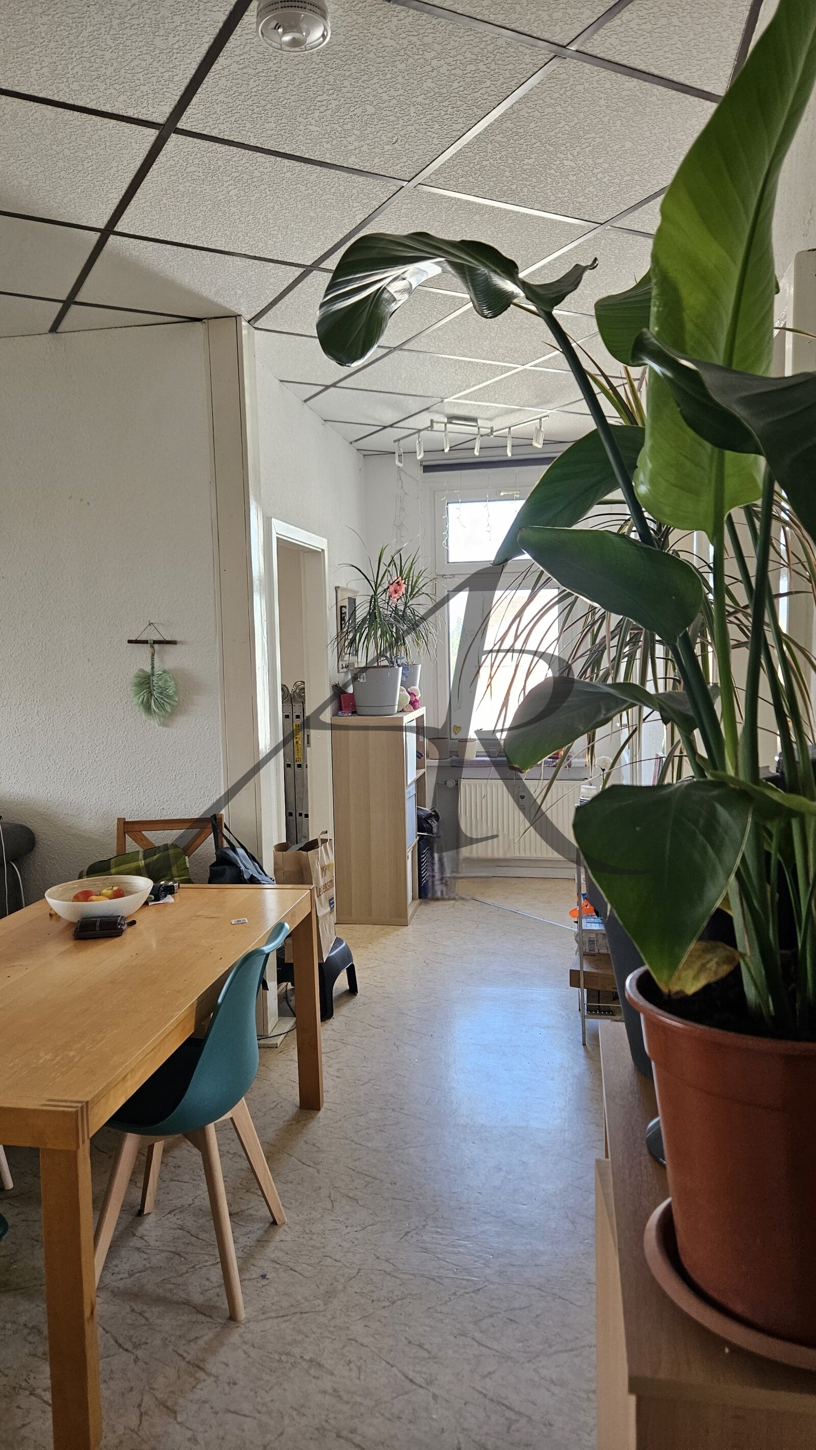 individuelle 5-Zimmer-Wohnung mit Balkon und 2 Bädern