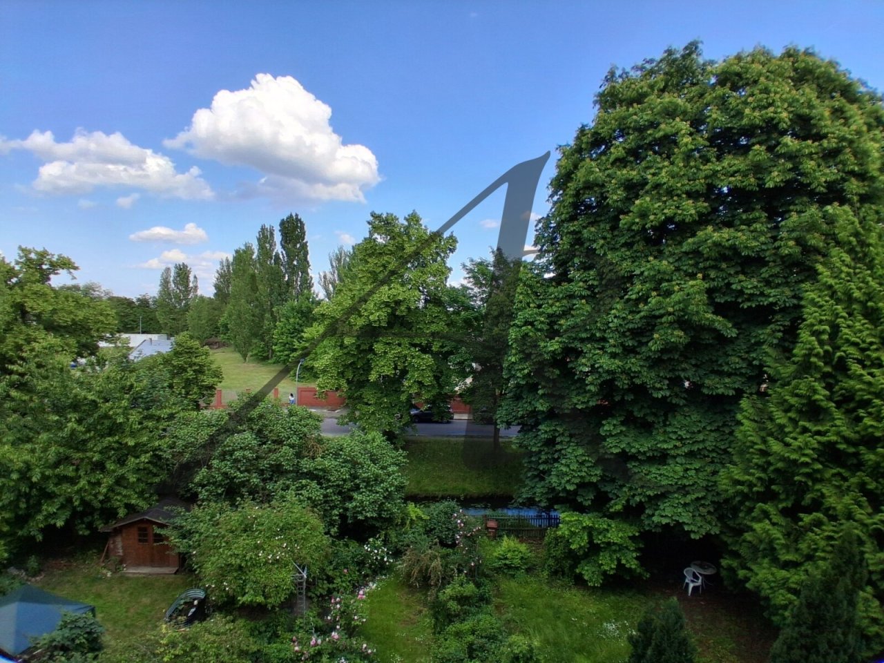 Blick ins Grüne Blick ins Grüne