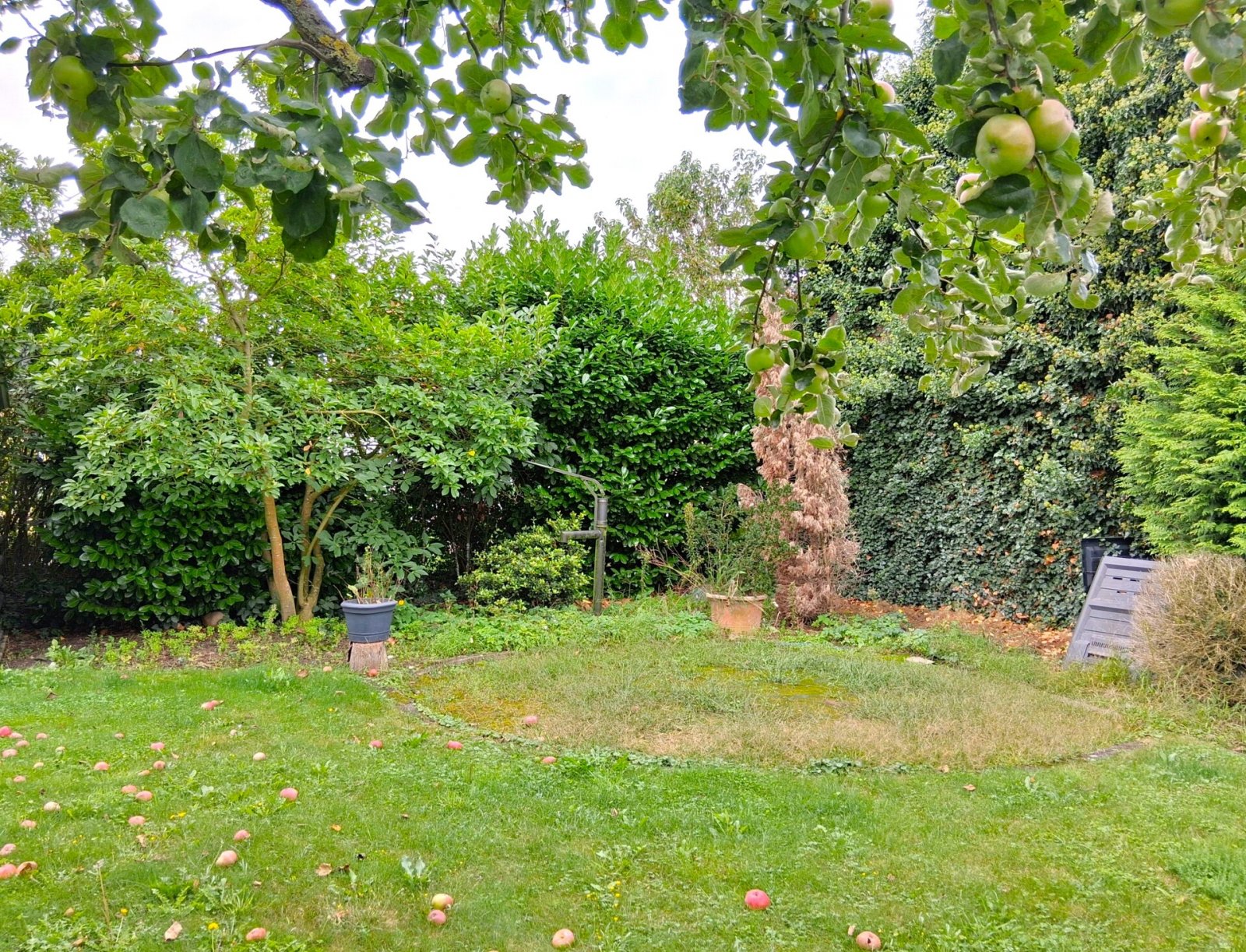 Garten, Außenanlage, Bild 6 Garten, Außenanlage, Bild 6