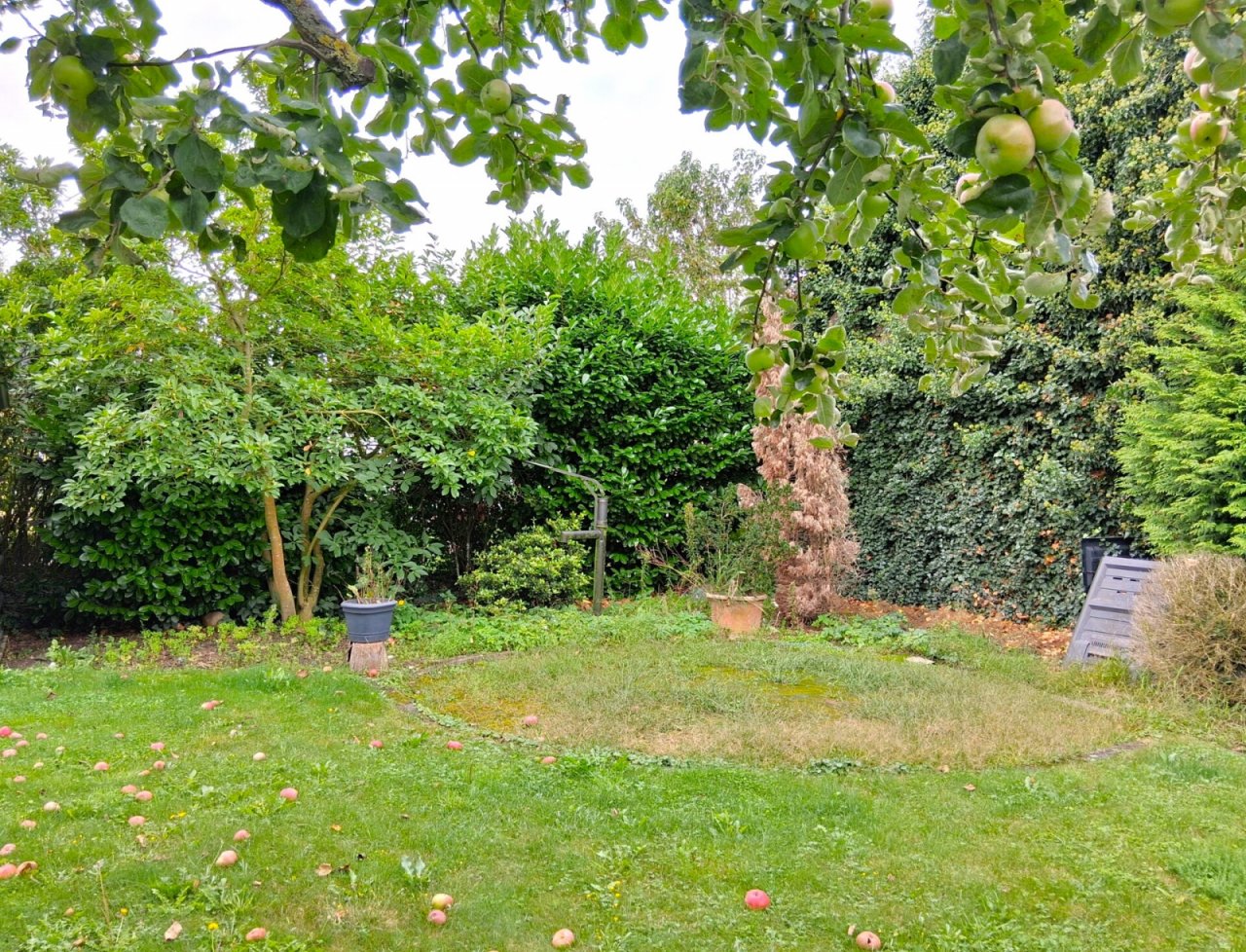 Garten, Außenanlage, Bild 6