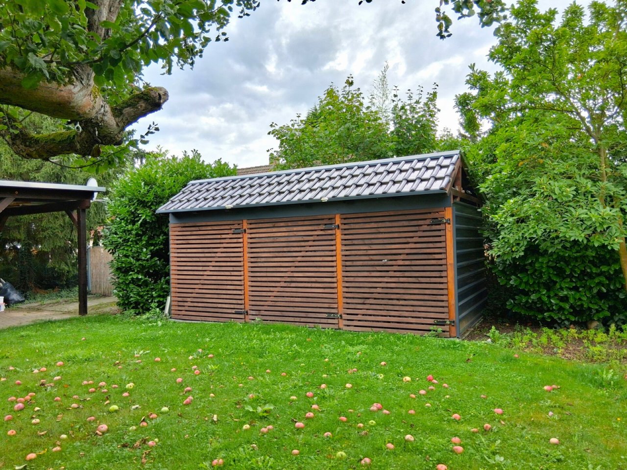 Garten, Außenanlage, Bild 7