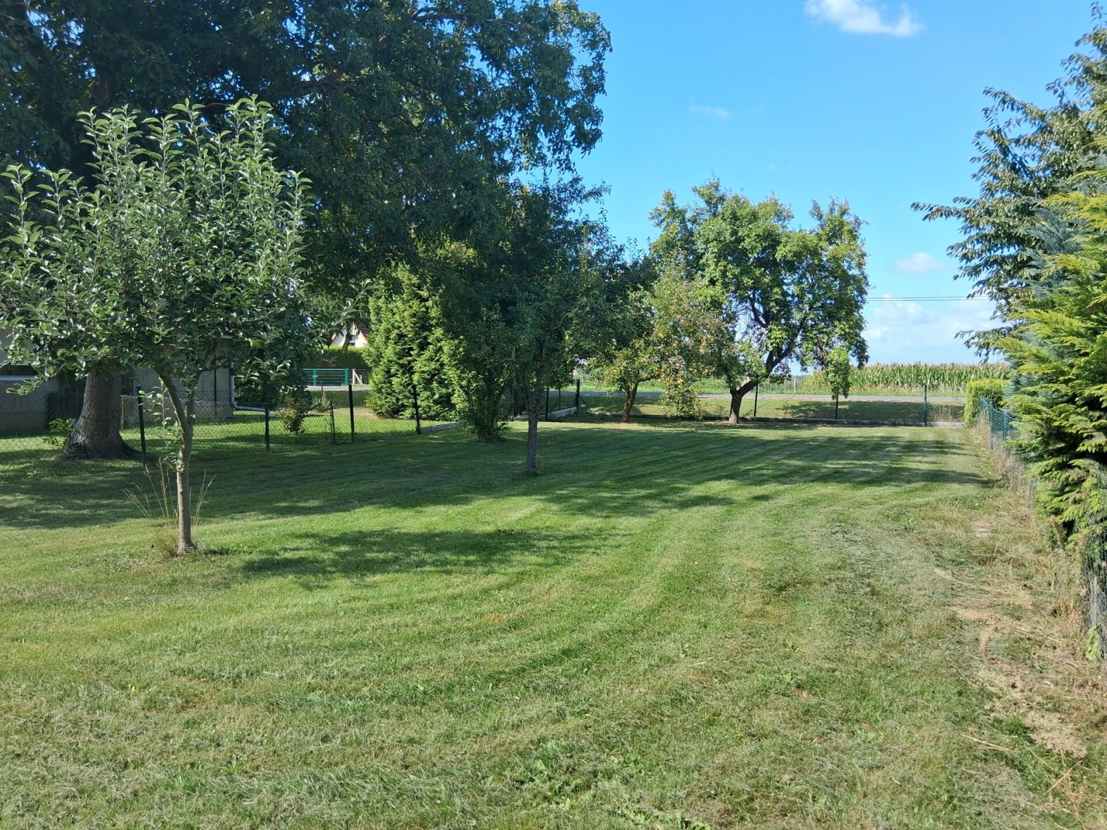 Bauland am Haus, gepflegt Bauland am Haus, gepflegt