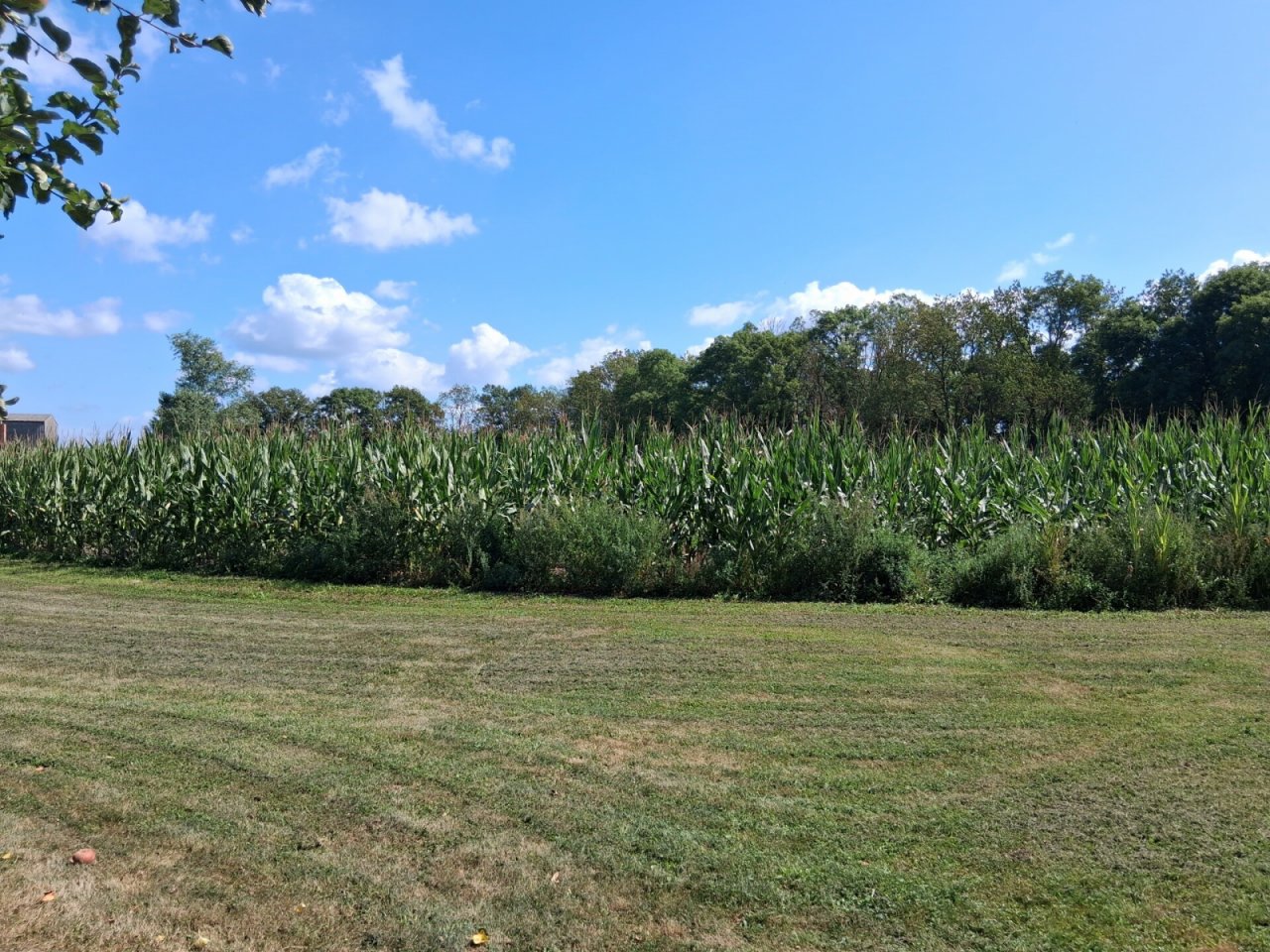 Angrenzender landwirtschaftlicher Bereich Angrenzender landwirtschaftlicher Bereich