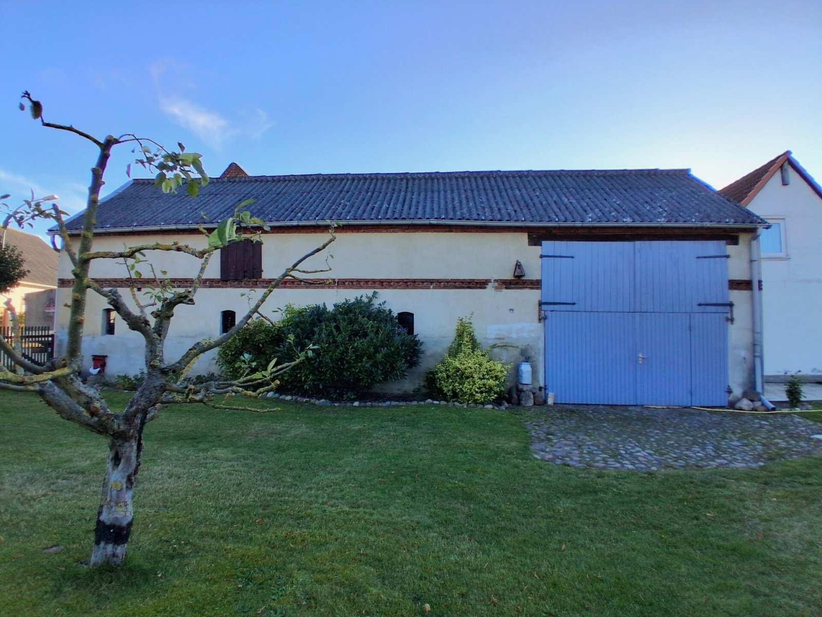 Seitenansicht, alter Apfelbaum Seitenansicht, alter Apfelbaum