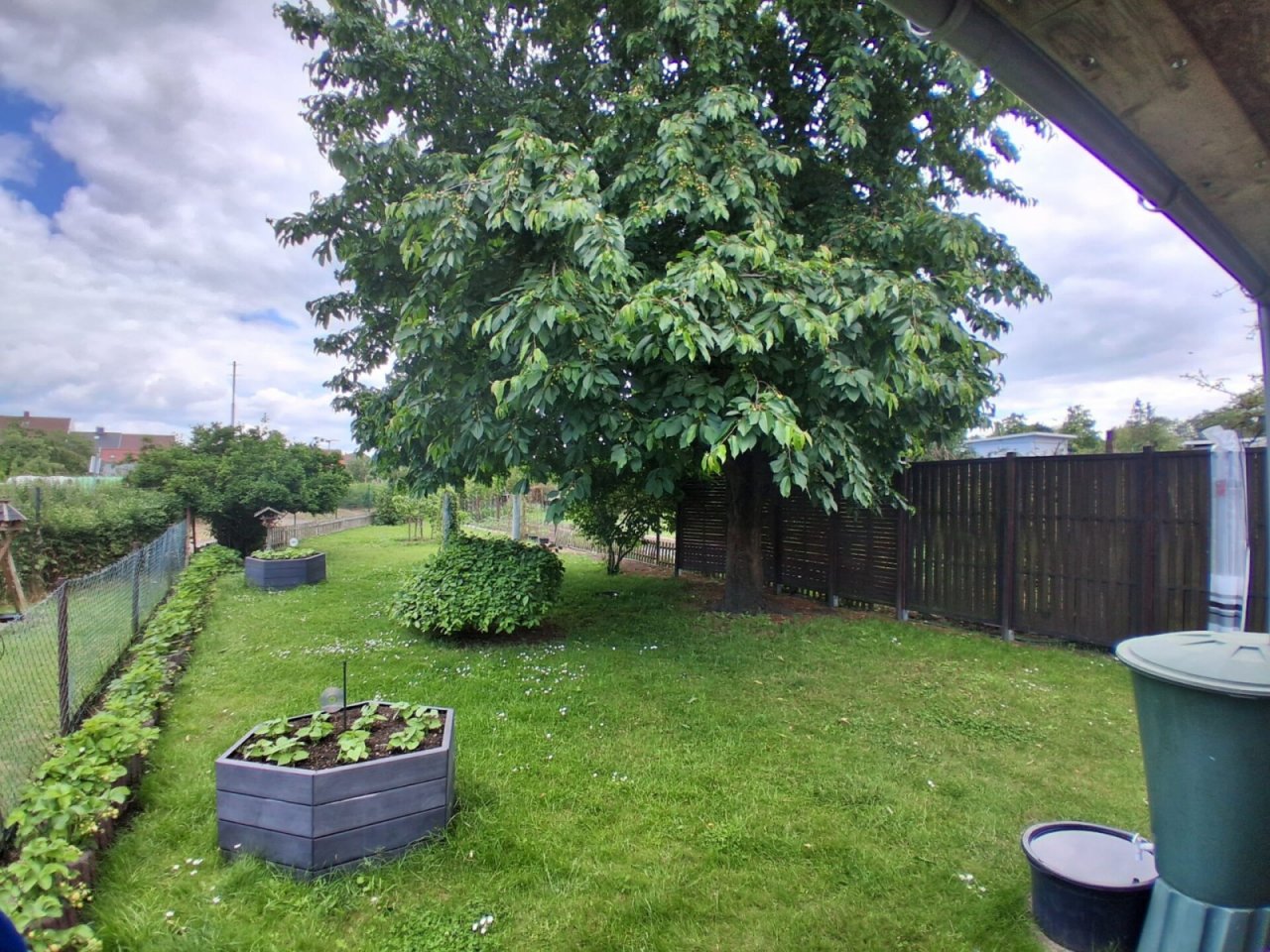 Garten_3 Garten_3