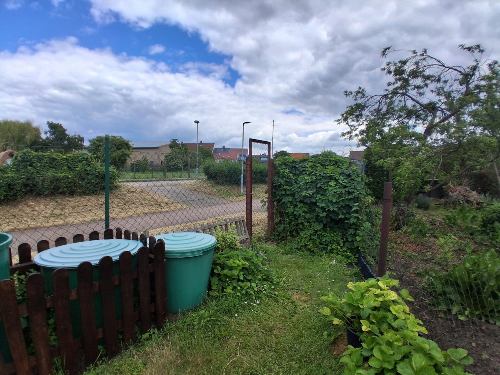 Garten_4 Garten_4